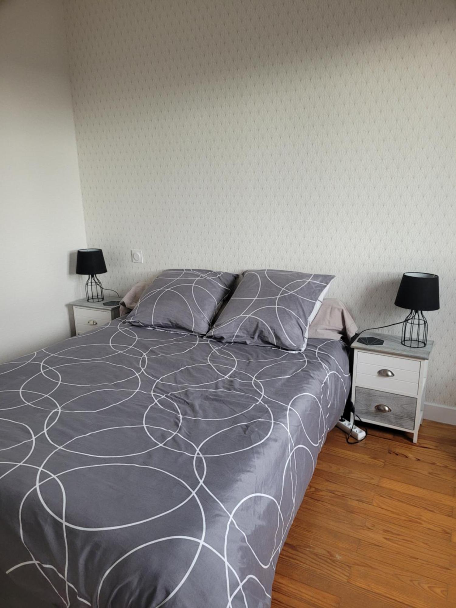 Agréable maison en bord de Loire Bas-en-Basset Extérieur photo